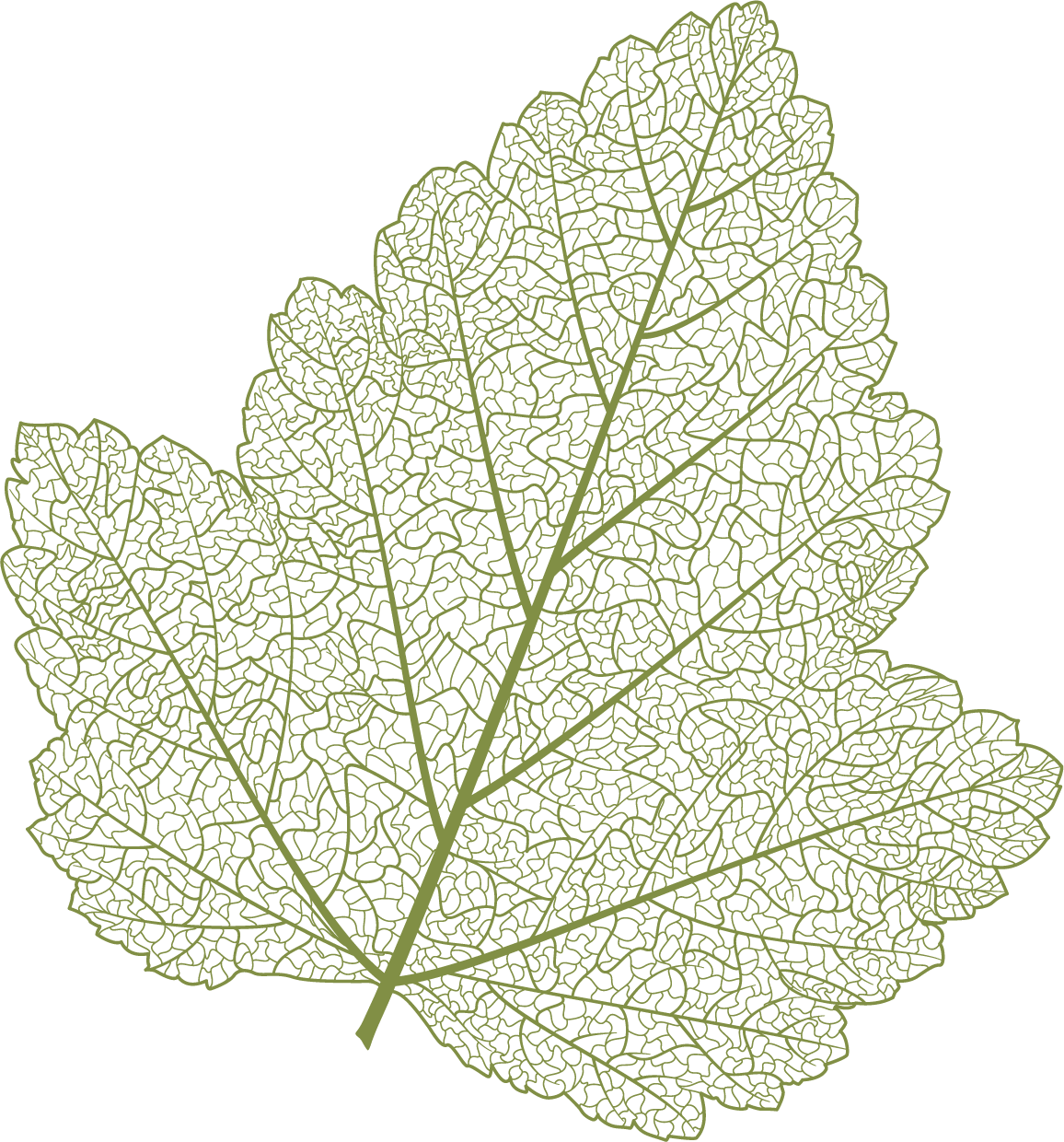 Weinblatt