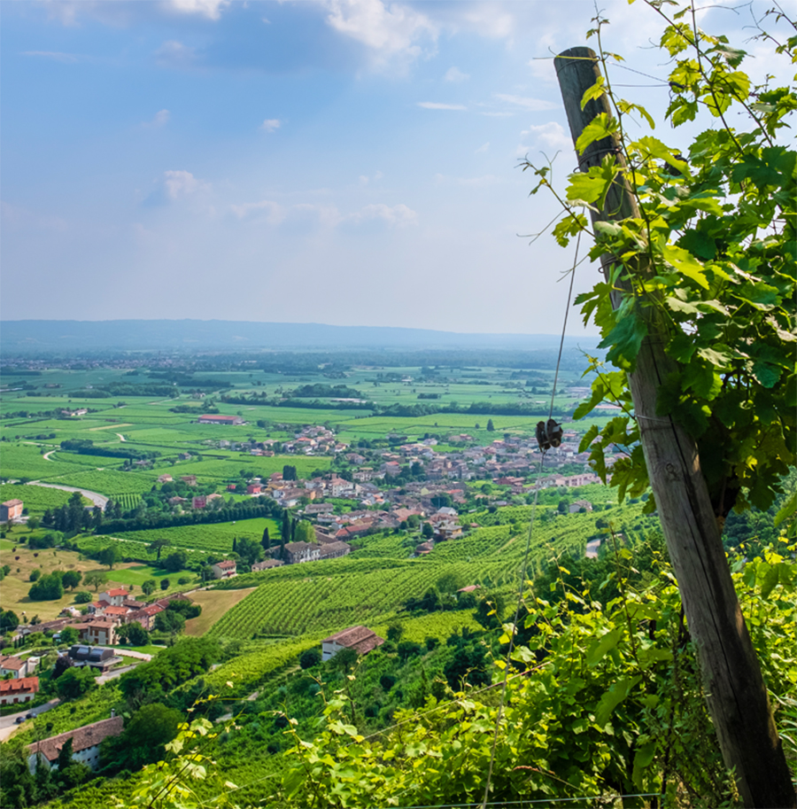 Conegliano Valdobbiadene Weingut