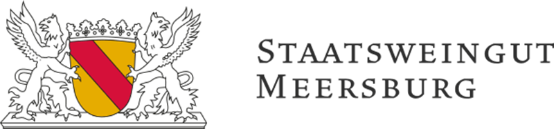 Meersburg Logo