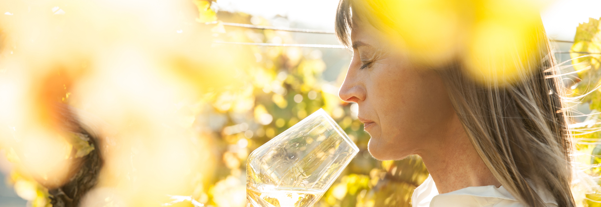 Weinblattl Weinregionen